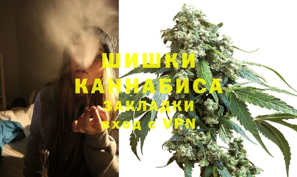 MESCALINE Новозыбков