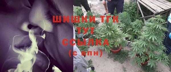 гидра Нея