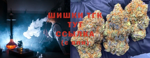 гидра Нея