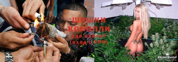 гидра Нея