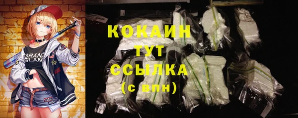 молекула духа Новокубанск