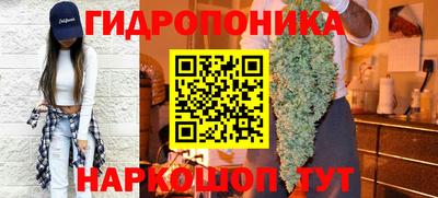 не бодяженный Кингисепп
