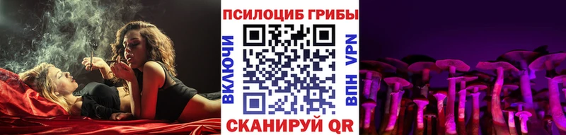 как найти   Полевской  Псилоцибиновые грибы мухоморы 